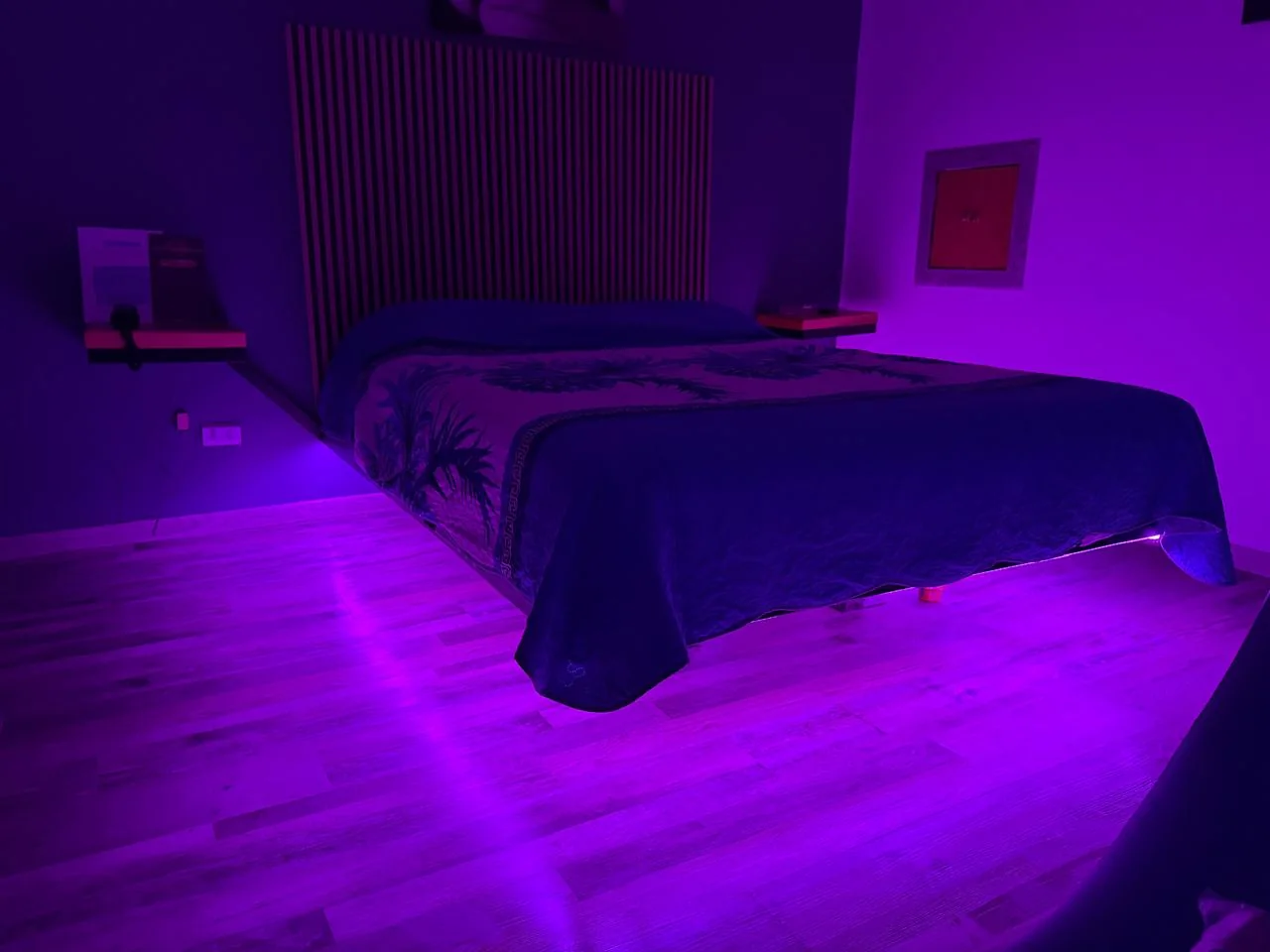 Habitación violeta
